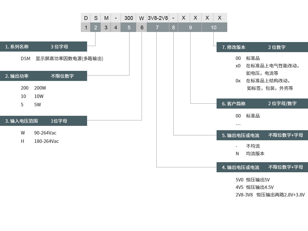 DSM-300W系列